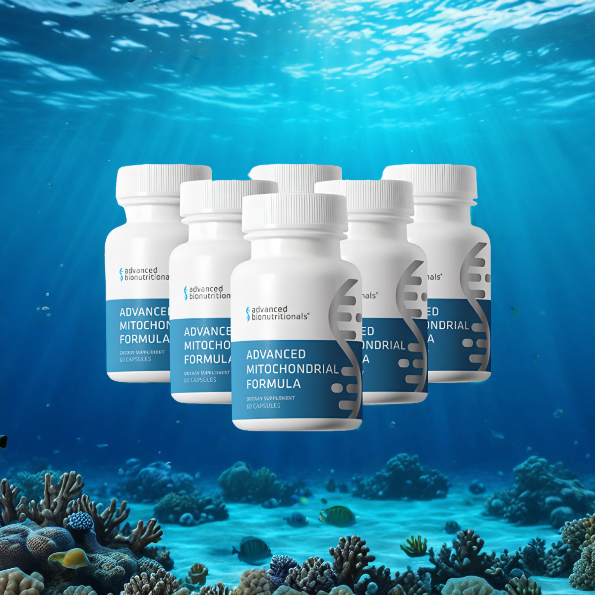 Advanced Mitochondrial Formula (6 Bottles)